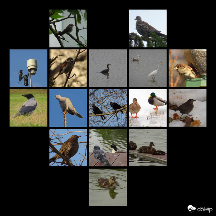 Boldog Új Évet Kívánok Mindenkinek!!!