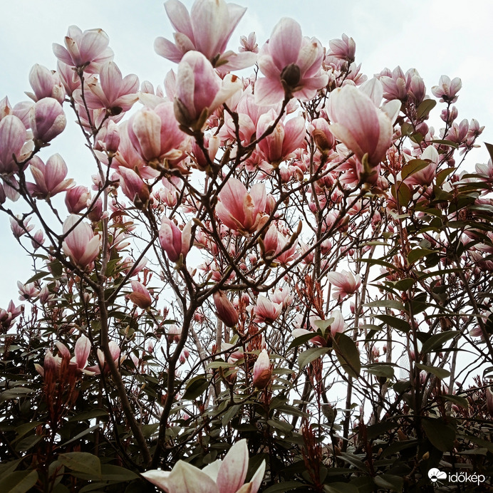 Budapest I.ker - Víziváros