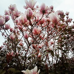 Budapest I.ker - Víziváros