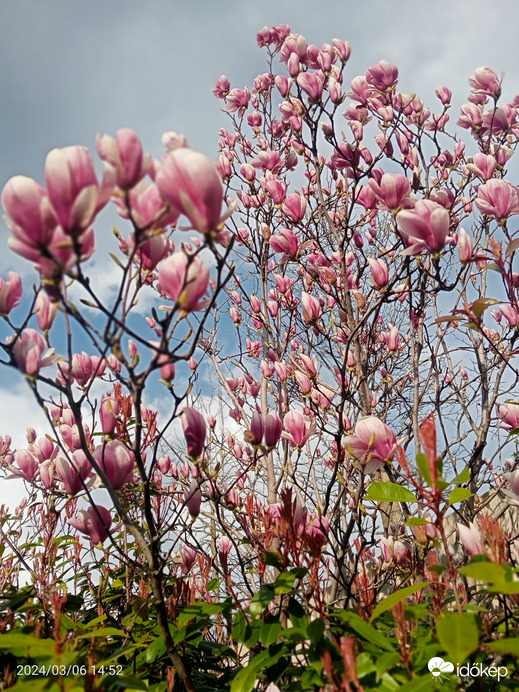 Budapest I.ker - Víziváros