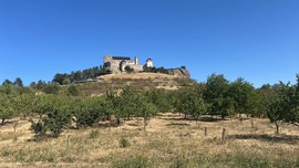 "Happystone castle"