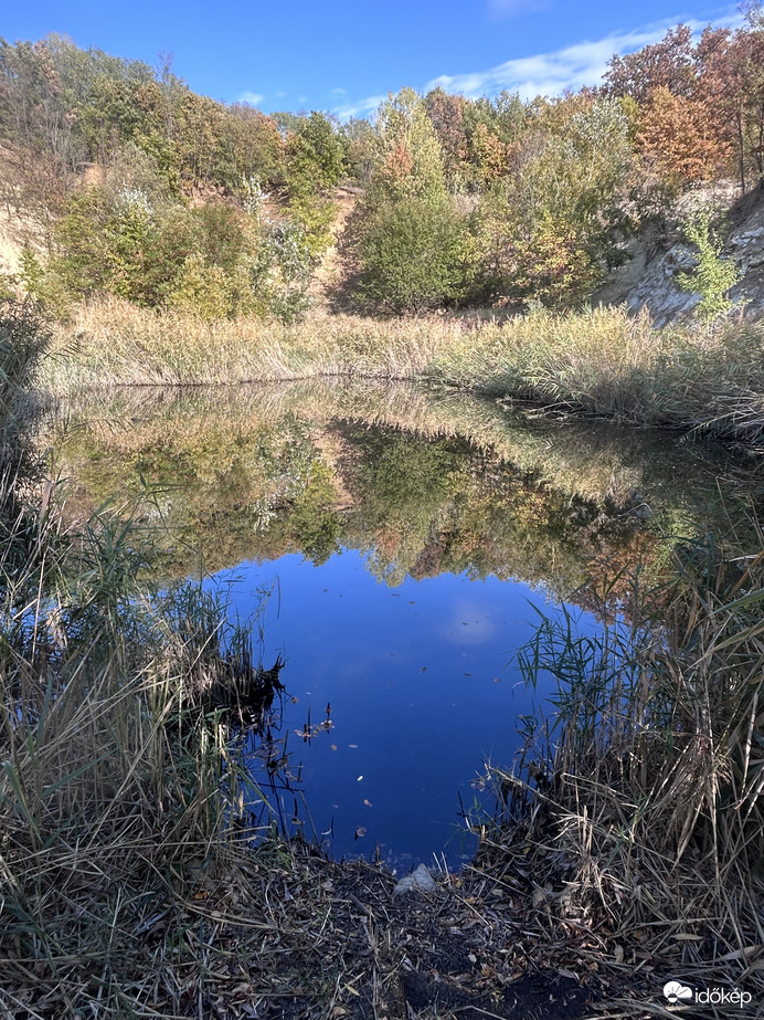 Tiszta nyugalomban