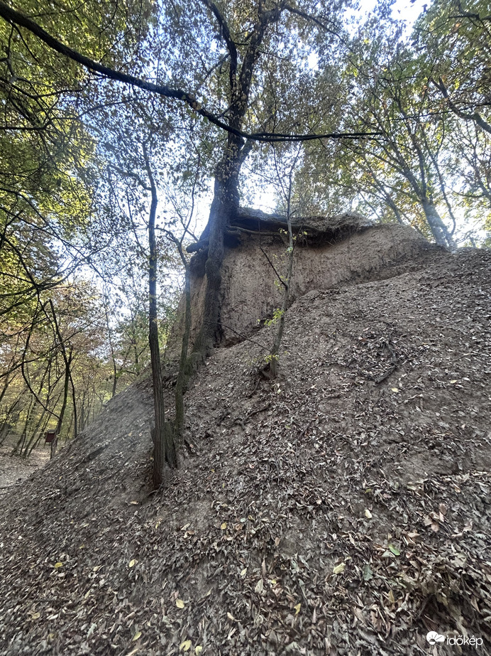 Löszfal II.