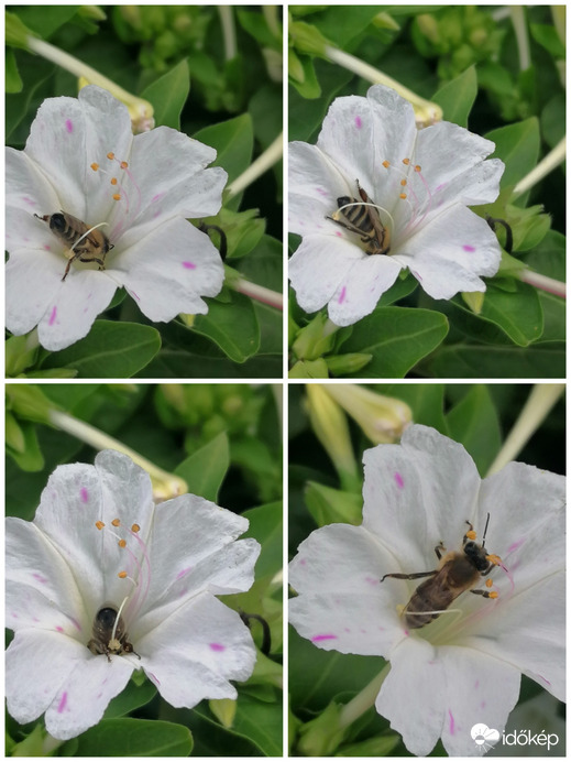 Ez nagyon jól esett 