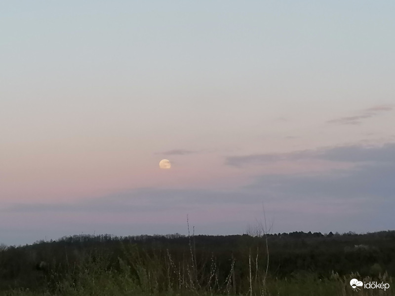 Feljövőben 