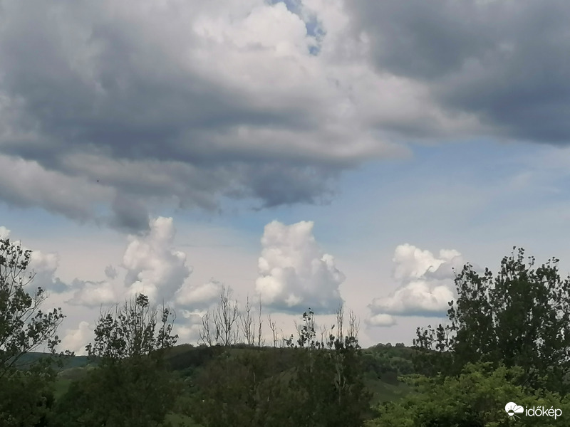 Felhő sapkák 