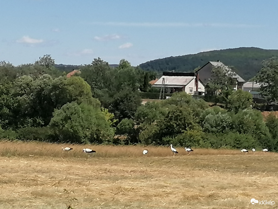  Ebédidő 