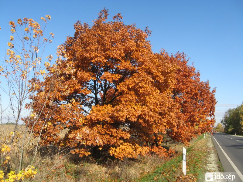 Rozsdás