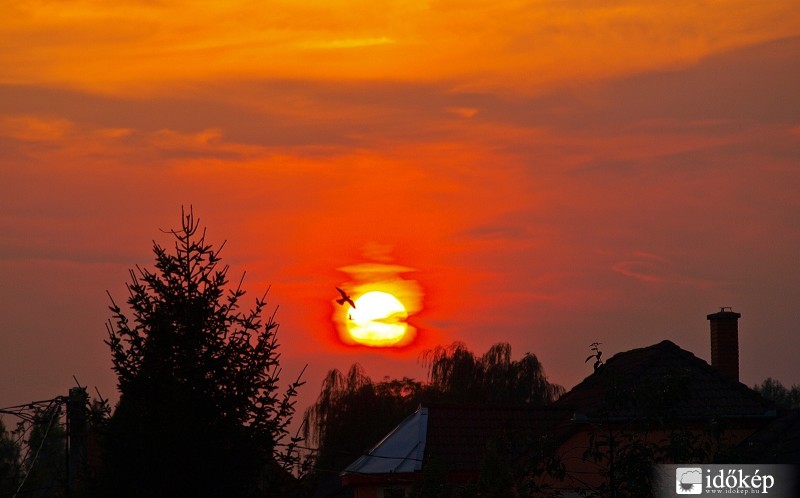 Nyíregyháza
