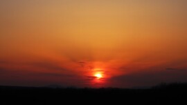 Napsugarak a poros naplementében.