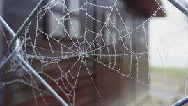 Pókháló van már az ablakon...