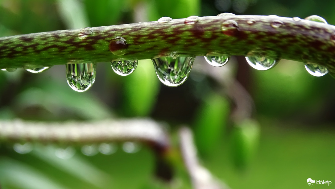 Mindenhová jutott eső,