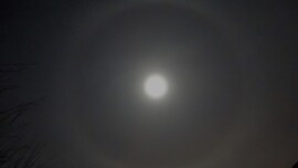 Ma éjjeli holdhaló.