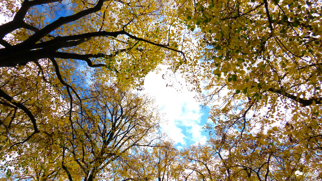 Erzsébet-park - Gödöllő.
