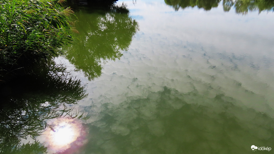 Napkoszorú a tóban.