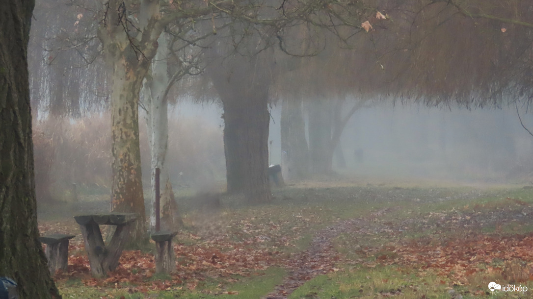 Ködös tópart.