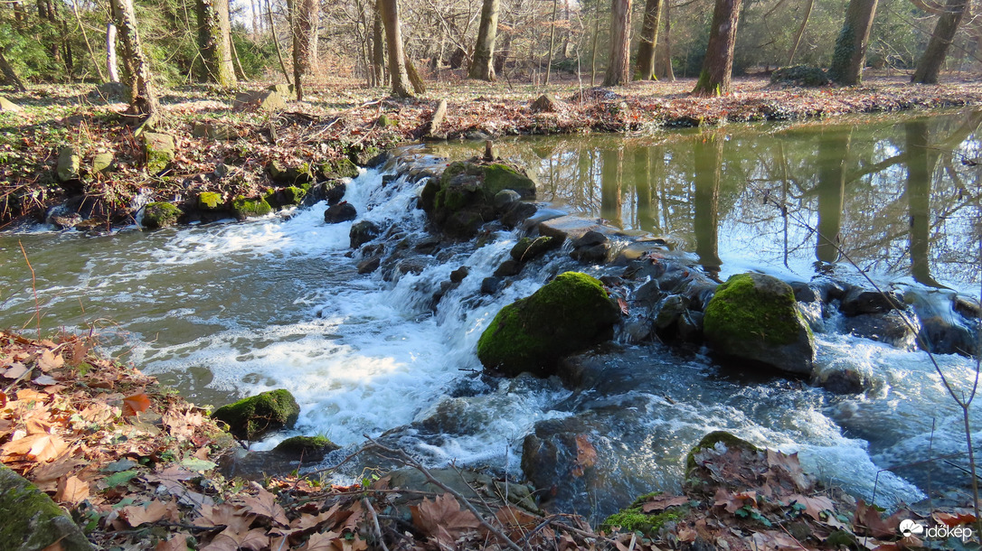 Vácrátóti Arborétum.