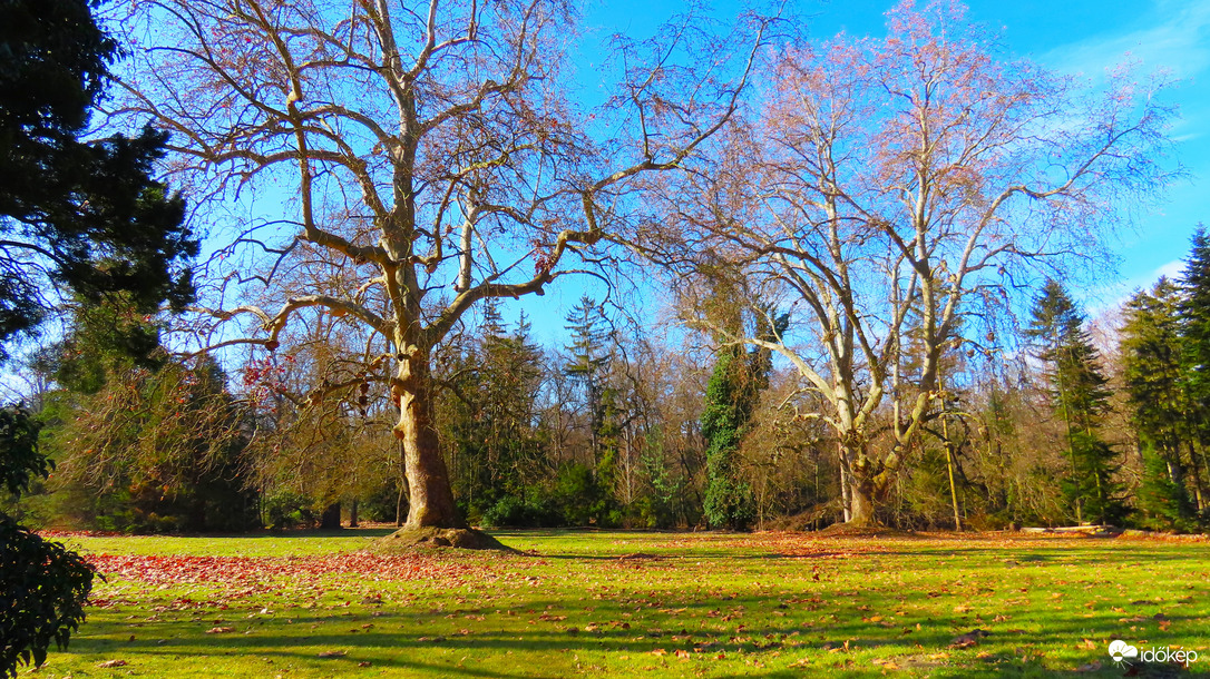 Vácrátóti Arborétum.