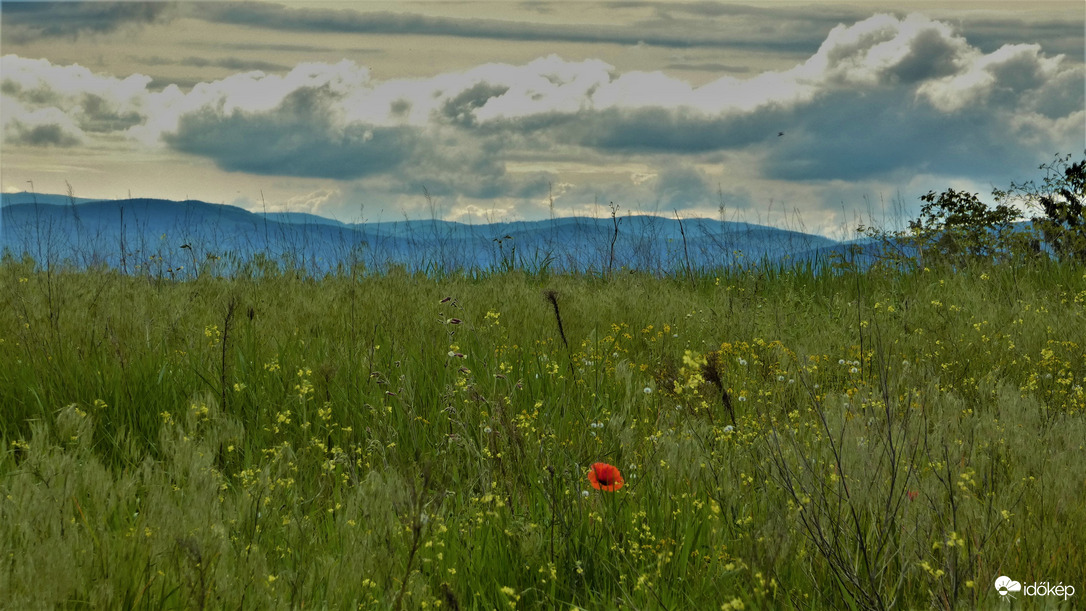 Veresegyház. 