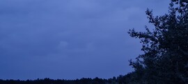 Bócsa