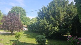 Pusztazámor