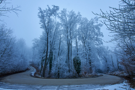 Ködös Soproni-hegység