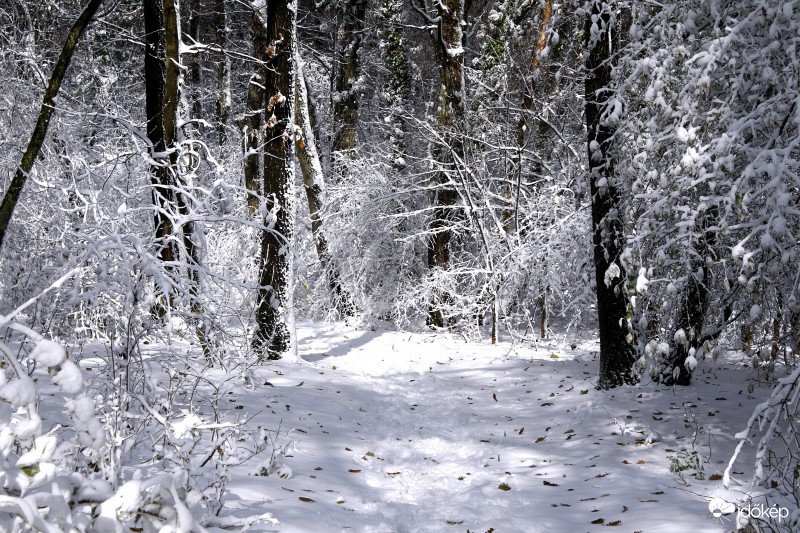 Első hó után reggel.