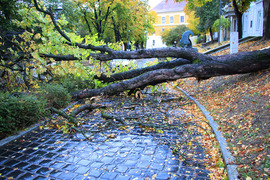 jakabr5 fotója