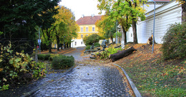 Szélvihar után