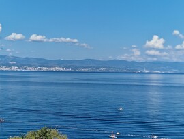 Medveja