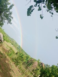 Nyírlugos
