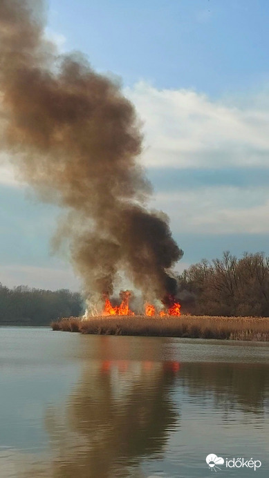 Vasárnap késő délutáni nádastűz Tiszafüreden a Tisza-tó partján