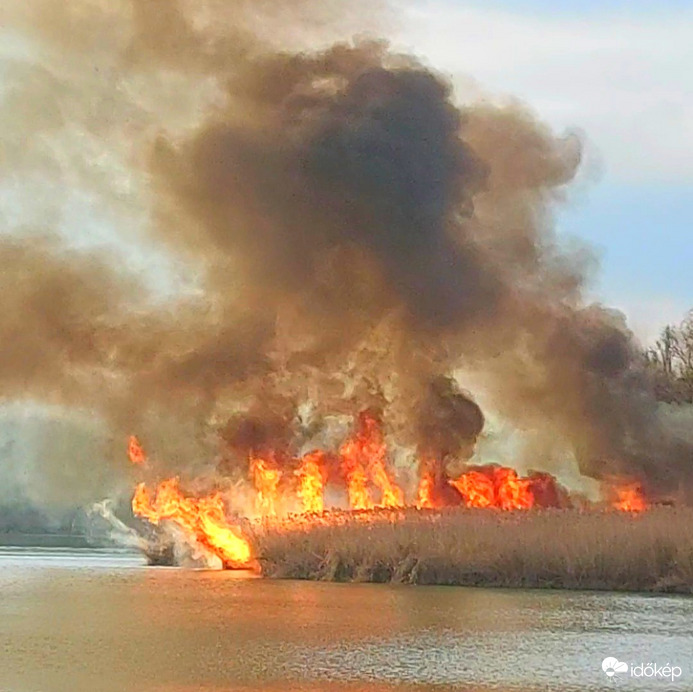 Vasárnap késő délutáni nádastűz Tiszafüreden a Tisza-tó partján