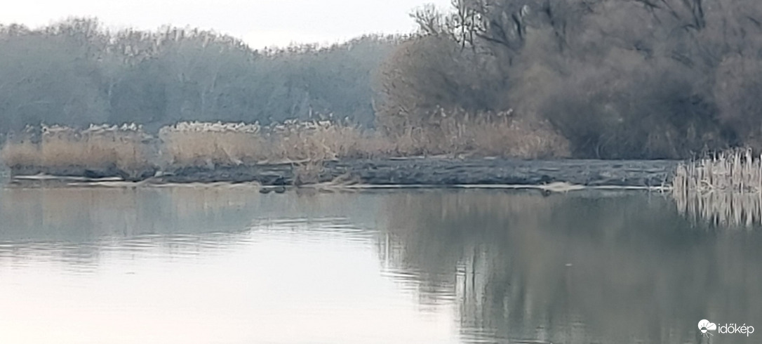 Vasárnap késő délutáni nádastűz Tiszafüreden a Tisza-tó partján