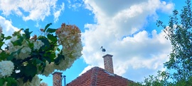 Tiszafüred