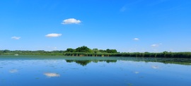 Tiszafüred