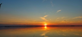Tisza-tó közepe