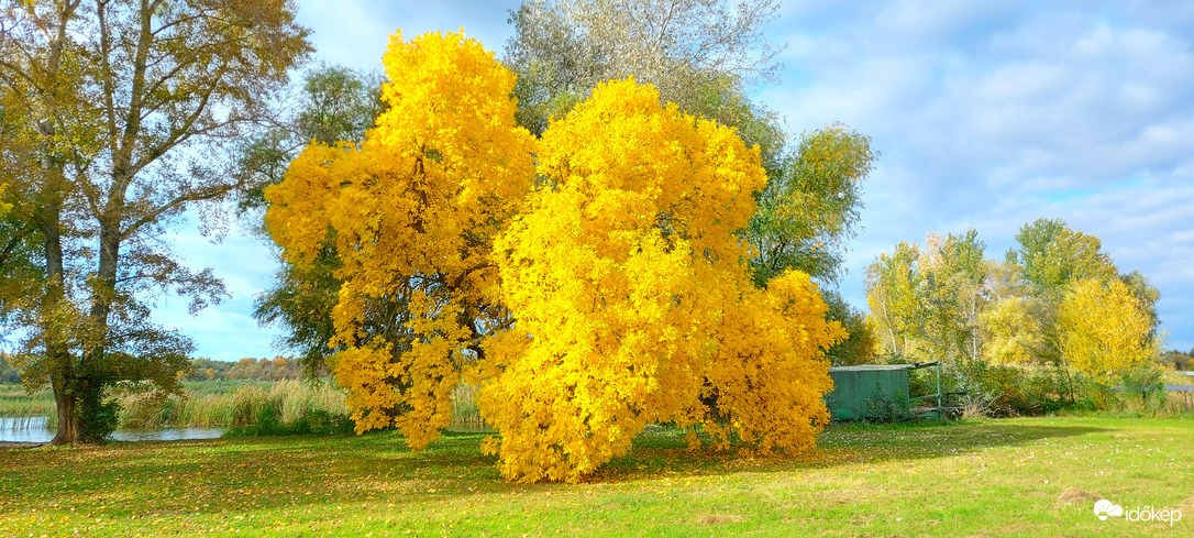 Hát nem csodálatos? (Tiszafüred)