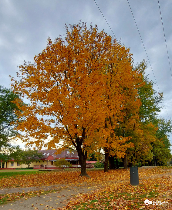 Ősz Tiszafüreden