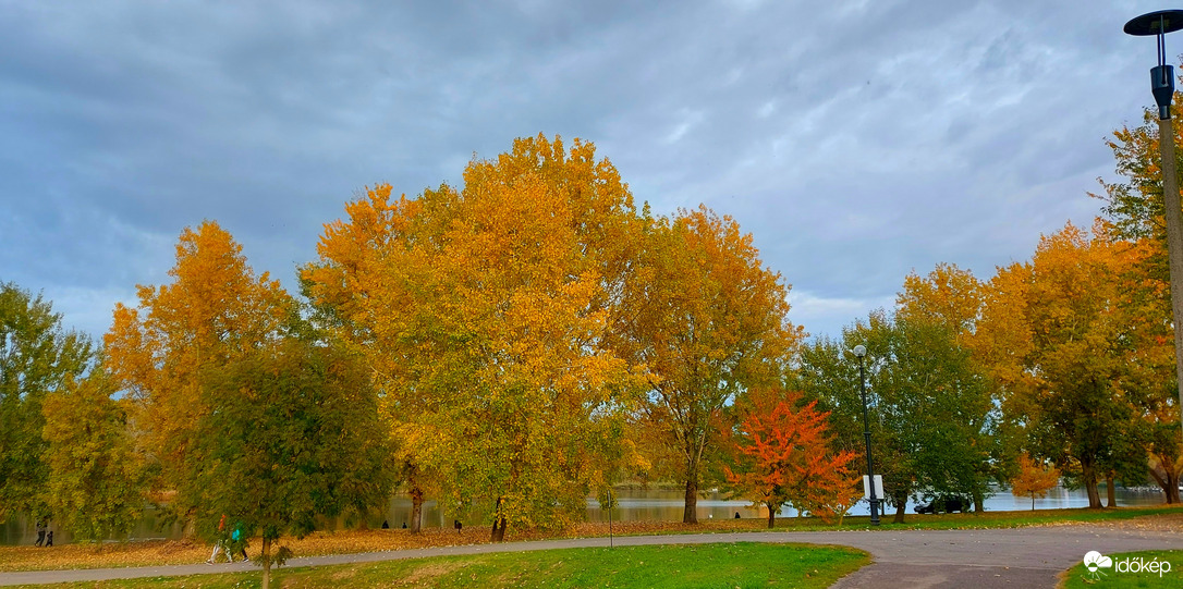 Ősz a tiszaparton (Tiszafüred)