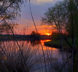 Csodálatos színek a naplementében a Tisza-tónál