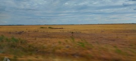 Hortobágy