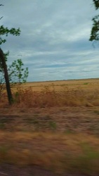 Hortobágy