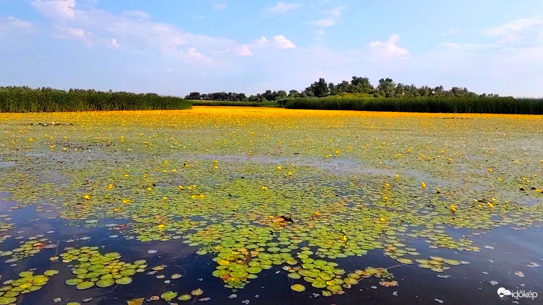 Tisza-tó