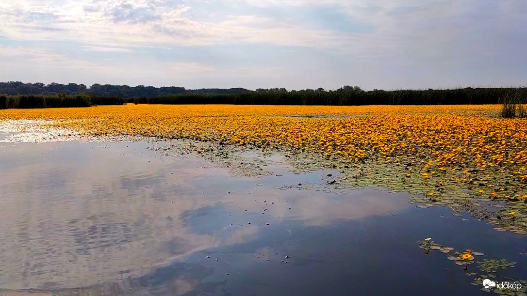 Tisza-tó