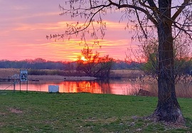 Csodálatos színek a naplementében a Tisza-tónál
