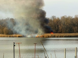Vasárnap késő délutáni nádastűz Tiszafüreden a Tisza-tó partján