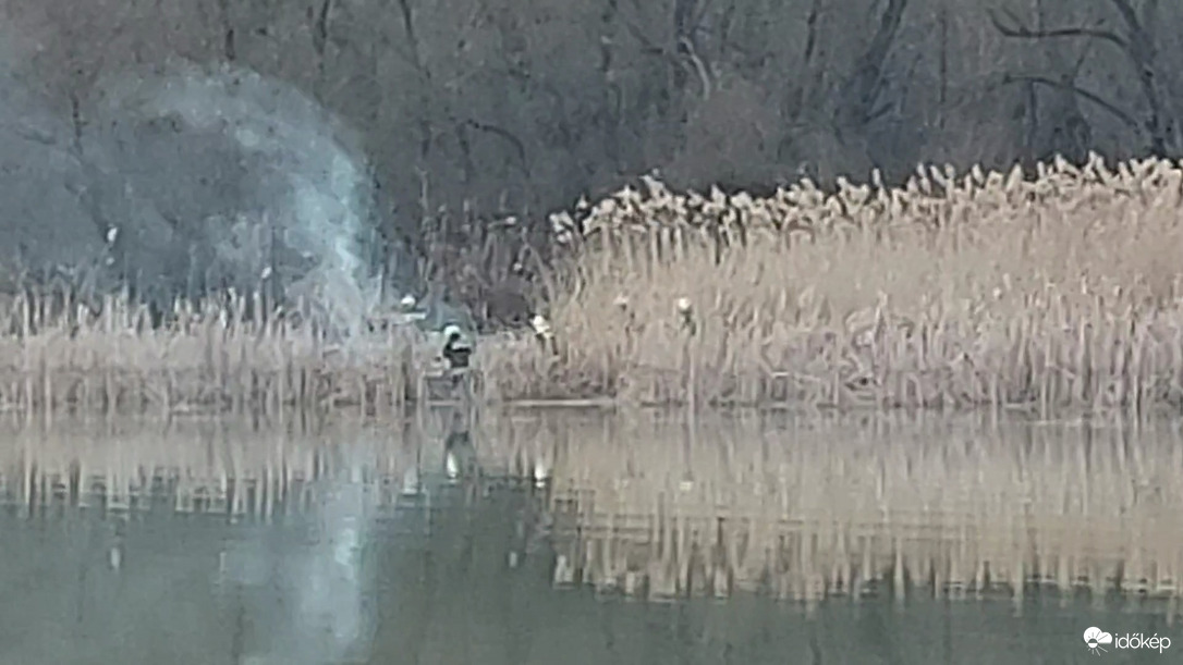 Vasárnap késő délutáni nádastűz Tiszafüreden a Tisza-tó partján