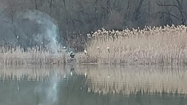 Vasárnap késő délutáni nádastűz Tiszafüreden a Tisza-tó partján