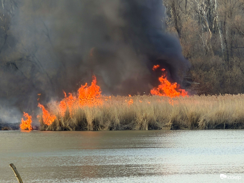 Vasárnap késő délutáni nádastűz Tiszafüreden a Tisza-tó partján